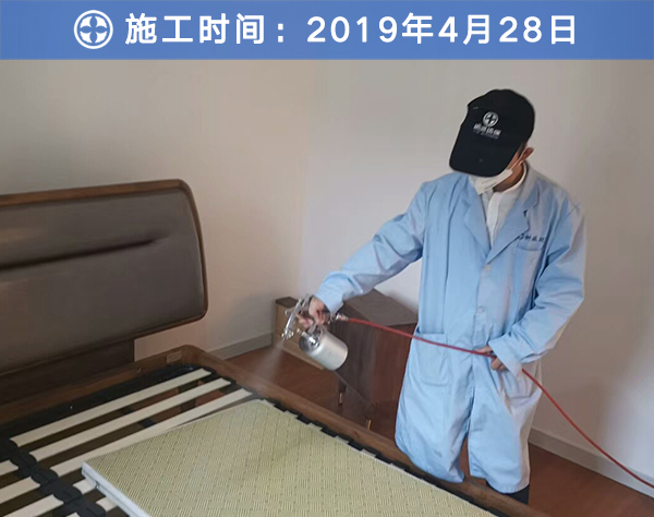 樹派除甲醛客戶案例